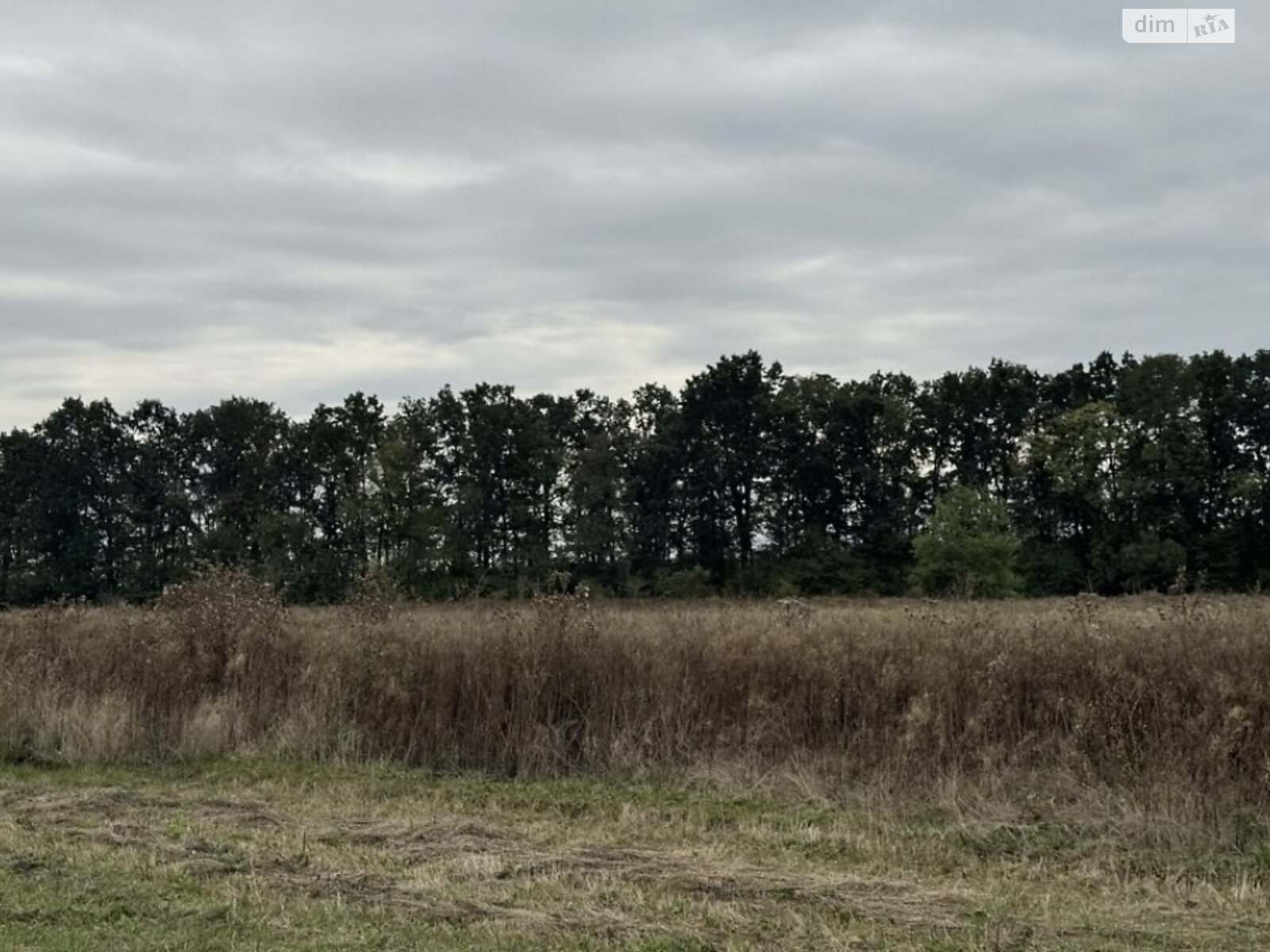 Земельна ділянка сільськогосподарського призначення в Бохониках, площа 8 соток фото 1 Земельна ділянка сільськогосподарського призначення в Бохониках, площа 8 соток фото 1