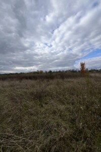 Земельна ділянка сільськогосподарського призначення в Бохониках, площа 8 соток фото 2 Земельна ділянка сільськогосподарського призначення в Бохониках, площа 8 соток фото 2