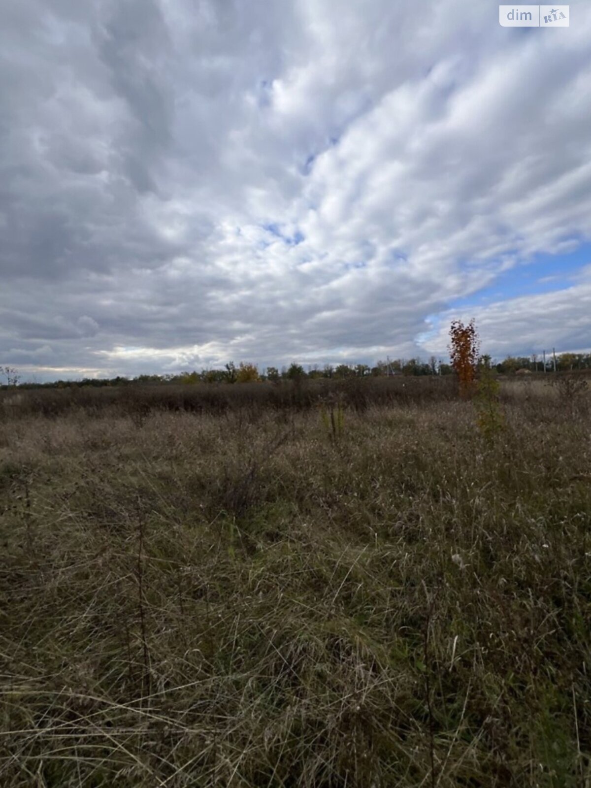 Земельна ділянка сільськогосподарського призначення в Бохониках, площа 8 соток фото 1 Земельна ділянка сільськогосподарського призначення в Бохониках, площа 8 соток фото 1