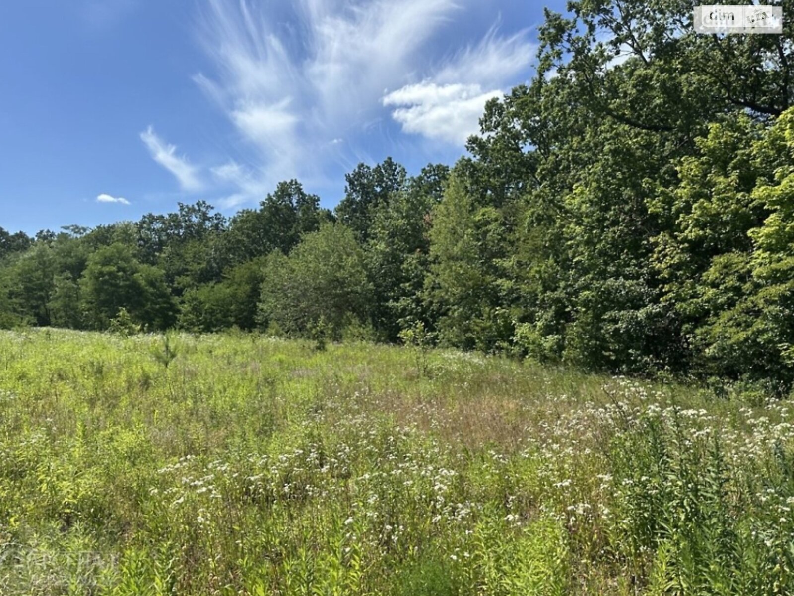 Земельна ділянка сільськогосподарського призначення в Бохониках, площа 8 соток фото 1 Земельна ділянка сільськогосподарського призначення в Бохониках, площа 8 соток фото 1