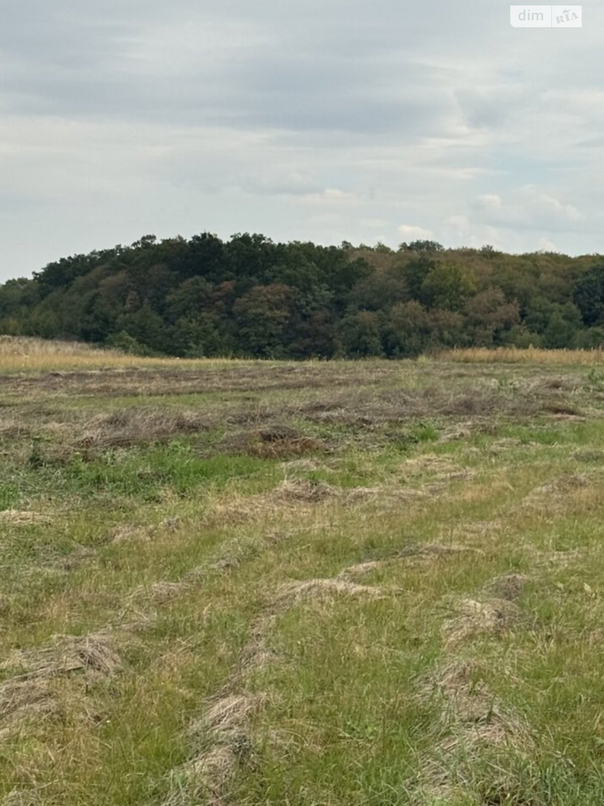Земельна ділянка сільськогосподарського призначення в Бохониках, площа 8 соток фото 1 Земельна ділянка сільськогосподарського призначення в Бохониках, площа 8 соток фото 1