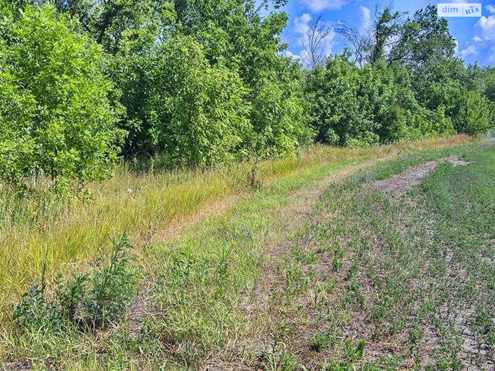 Земельна ділянка сільськогосподарського призначення в Бохониках, площа 8 соток фото 1 Земельна ділянка сільськогосподарського призначення в Бохониках, площа 8 соток фото 1