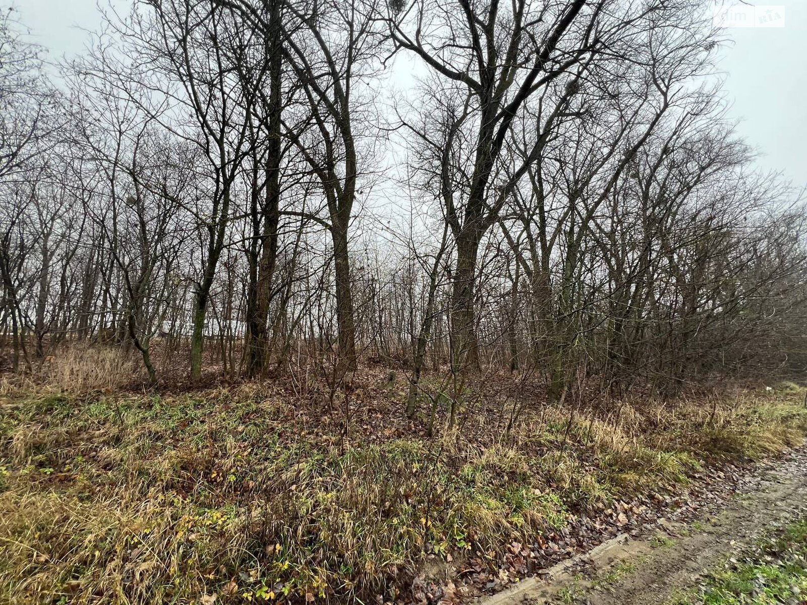 Земельный участок сельскохозяйственного назначения в Бохониках, площадь 6 соток фото 1