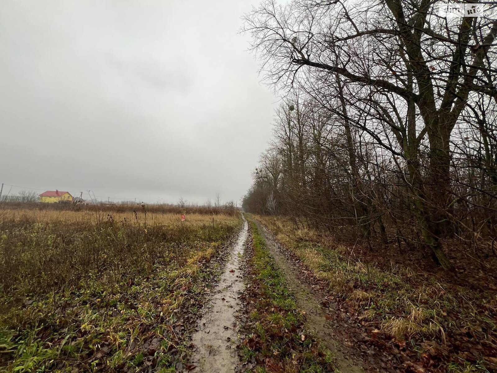 Земельный участок сельскохозяйственного назначения в Бохониках, площадь 6 соток фото 1