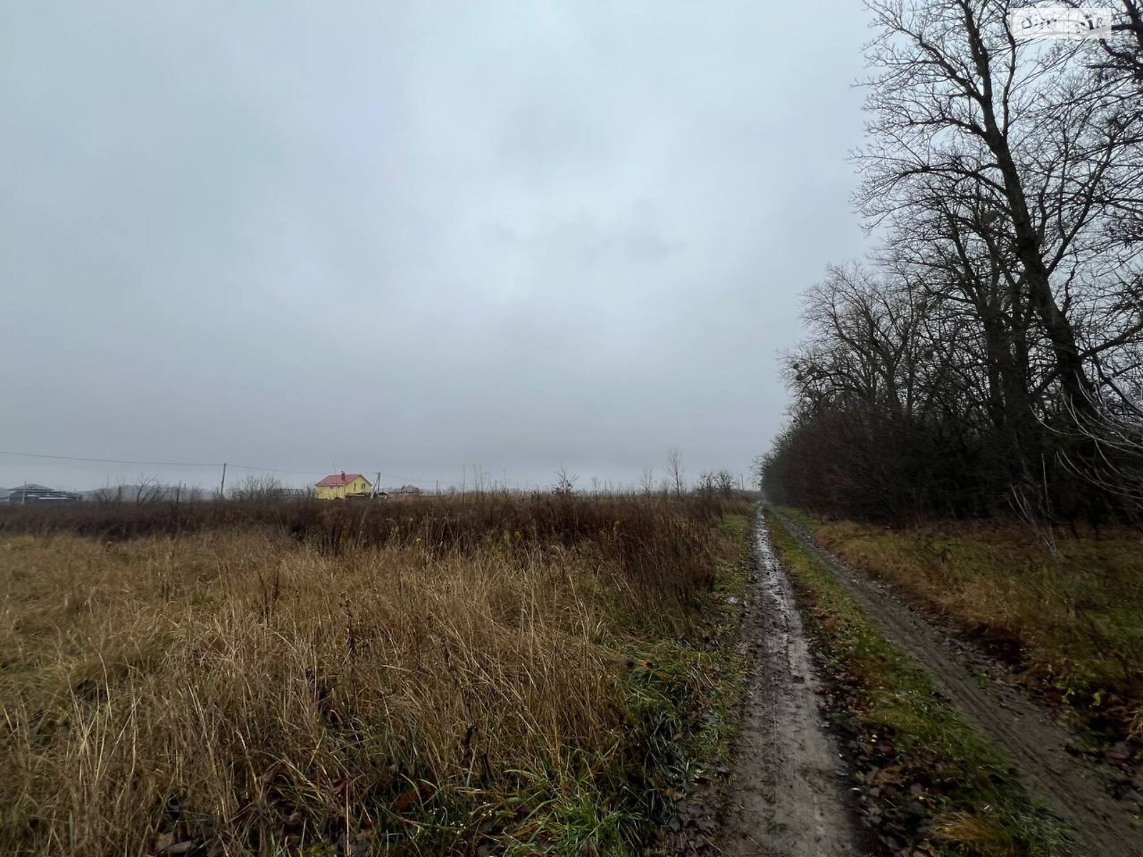 Земельный участок сельскохозяйственного назначения в Бохониках, площадь 6 соток фото 1