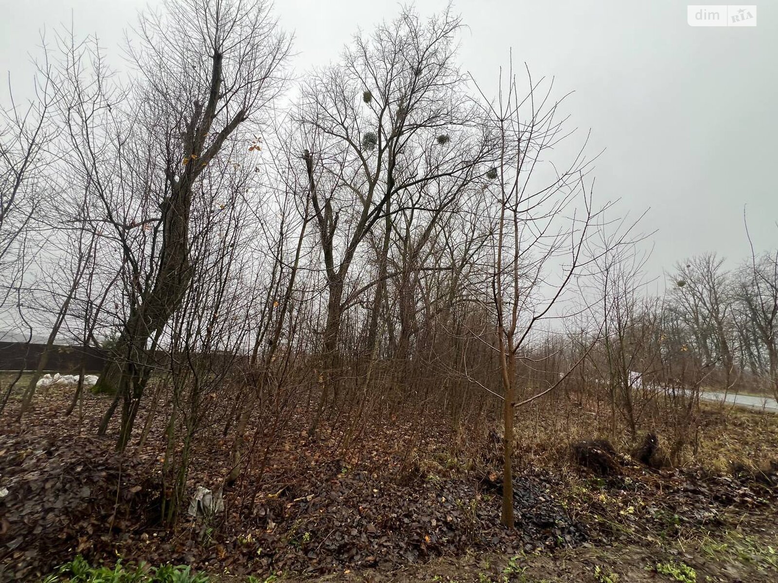 Земельный участок сельскохозяйственного назначения в Бохониках, площадь 6 соток фото 1