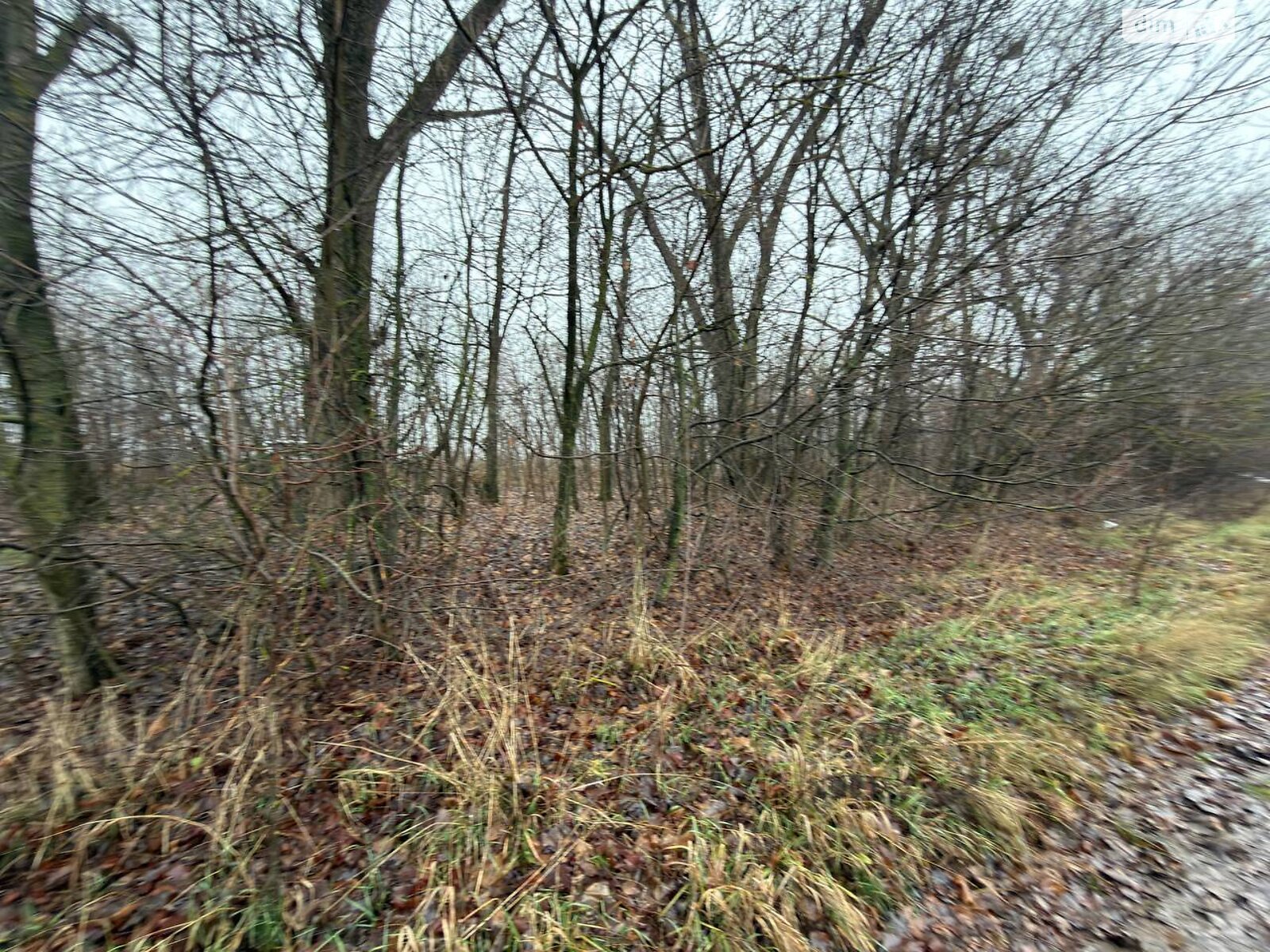 Земельный участок сельскохозяйственного назначения в Бохониках, площадь 6 соток фото 1