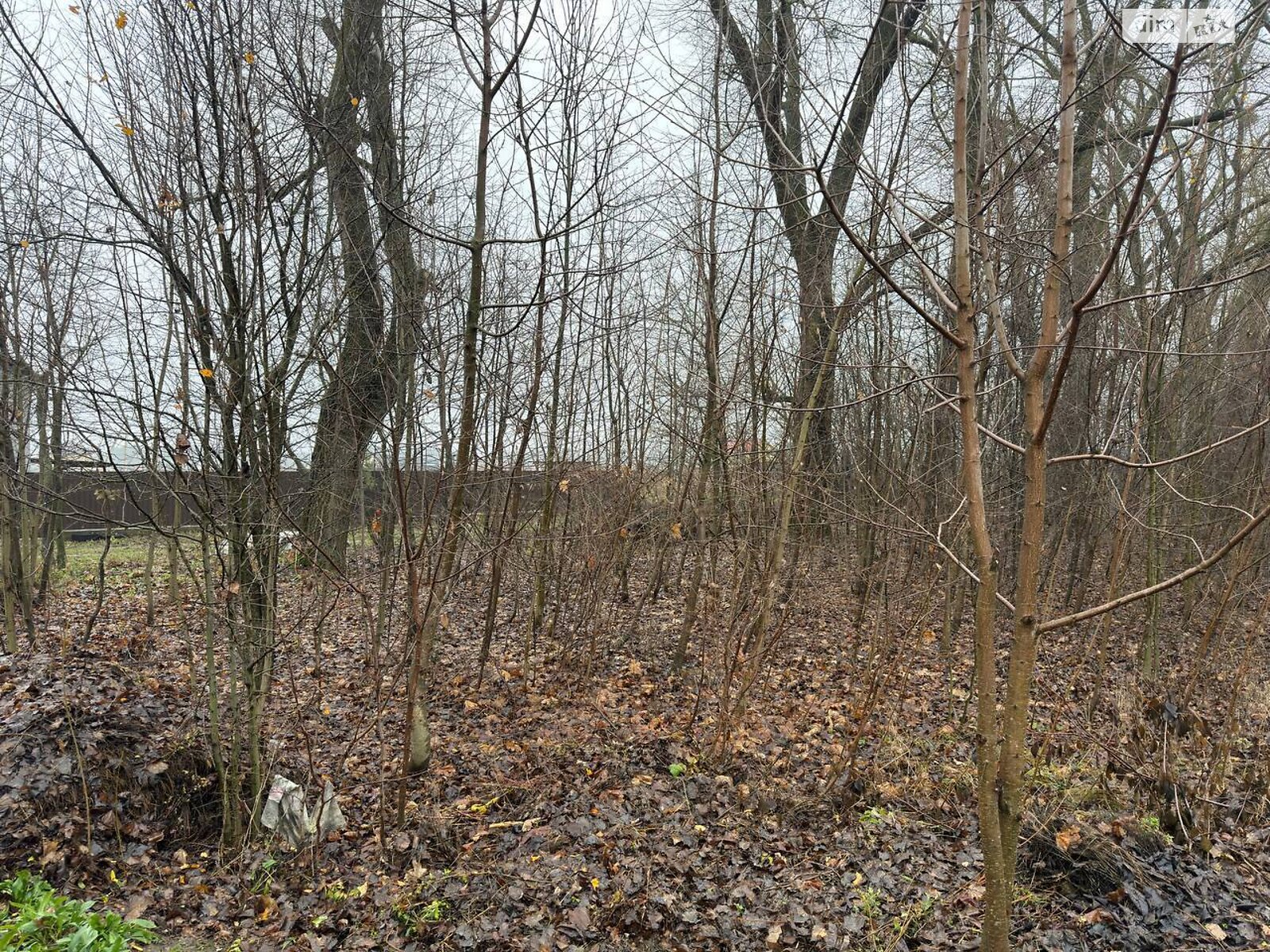 Земельный участок сельскохозяйственного назначения в Бохониках, площадь 6 соток фото 1