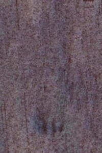 Земельна ділянка сільськогосподарського призначення в Боложівці, площа 1.169 Га фото 1 Земельна ділянка сільськогосподарського призначення в Боложівці, площа 1.169 Га фото 1