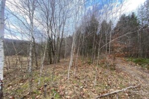 Земельна ділянка сільськогосподарського призначення в Бориславі, площа 8.07 сотки фото 2 Земельна ділянка сільськогосподарського призначення в Бориславі, площа 8.07 сотки фото 2