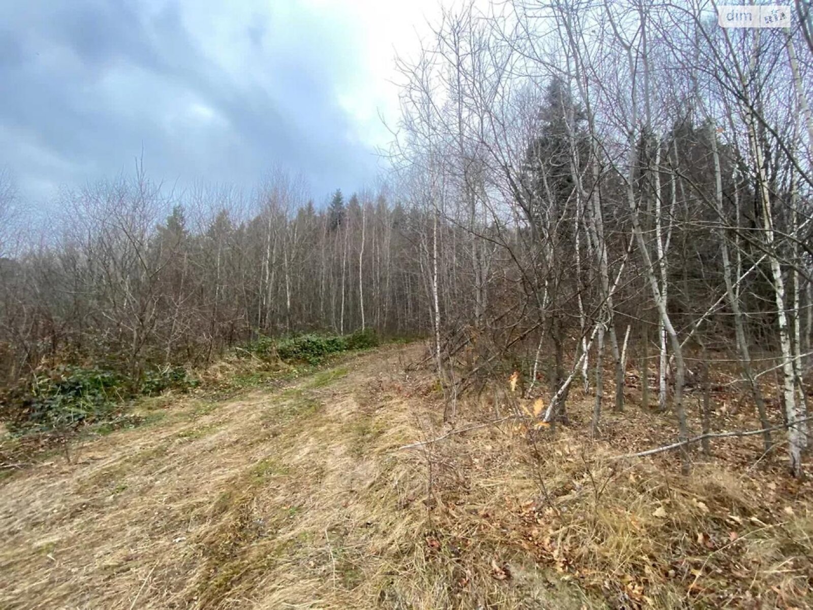 Земельна ділянка сільськогосподарського призначення в Бориславі, площа 8.07 сотки фото 1 Земельна ділянка сільськогосподарського призначення в Бориславі, площа 8.07 сотки фото 1