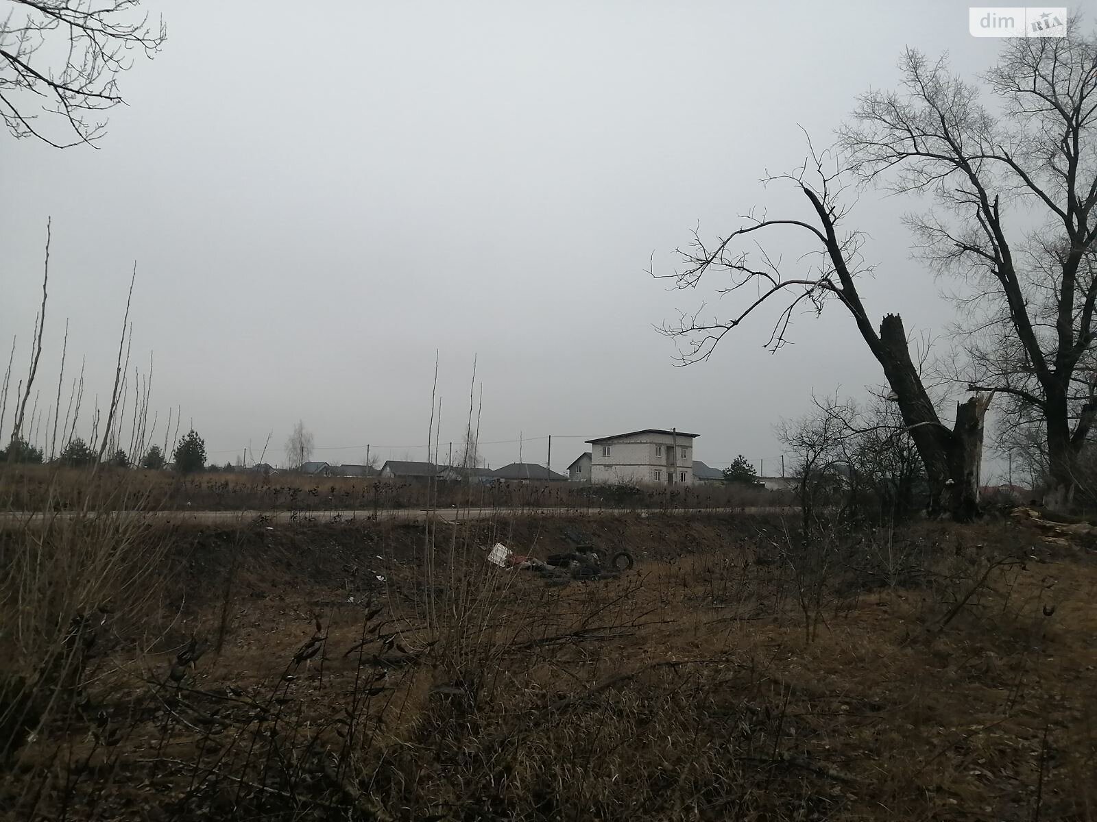 Земля сельскохозяйственного назначения в Борисполе, район Борисполь, площадь 230 соток фото 1