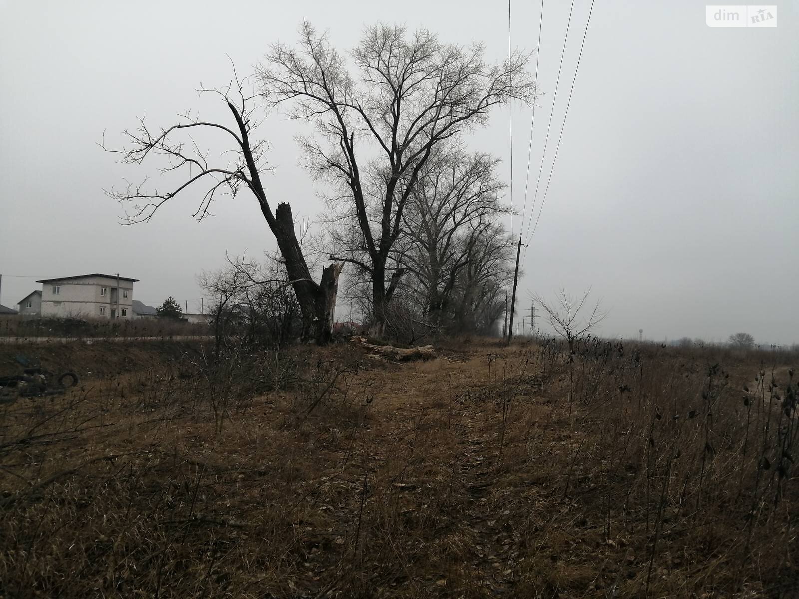 Земля сельскохозяйственного назначения в Борисполе, район Борисполь, площадь 230 соток фото 1