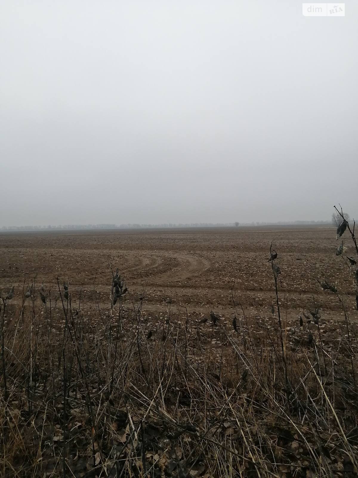 Земля сільськогосподарського призначення в Борисполі, район Бориспіль, площа 230 соток фото 1