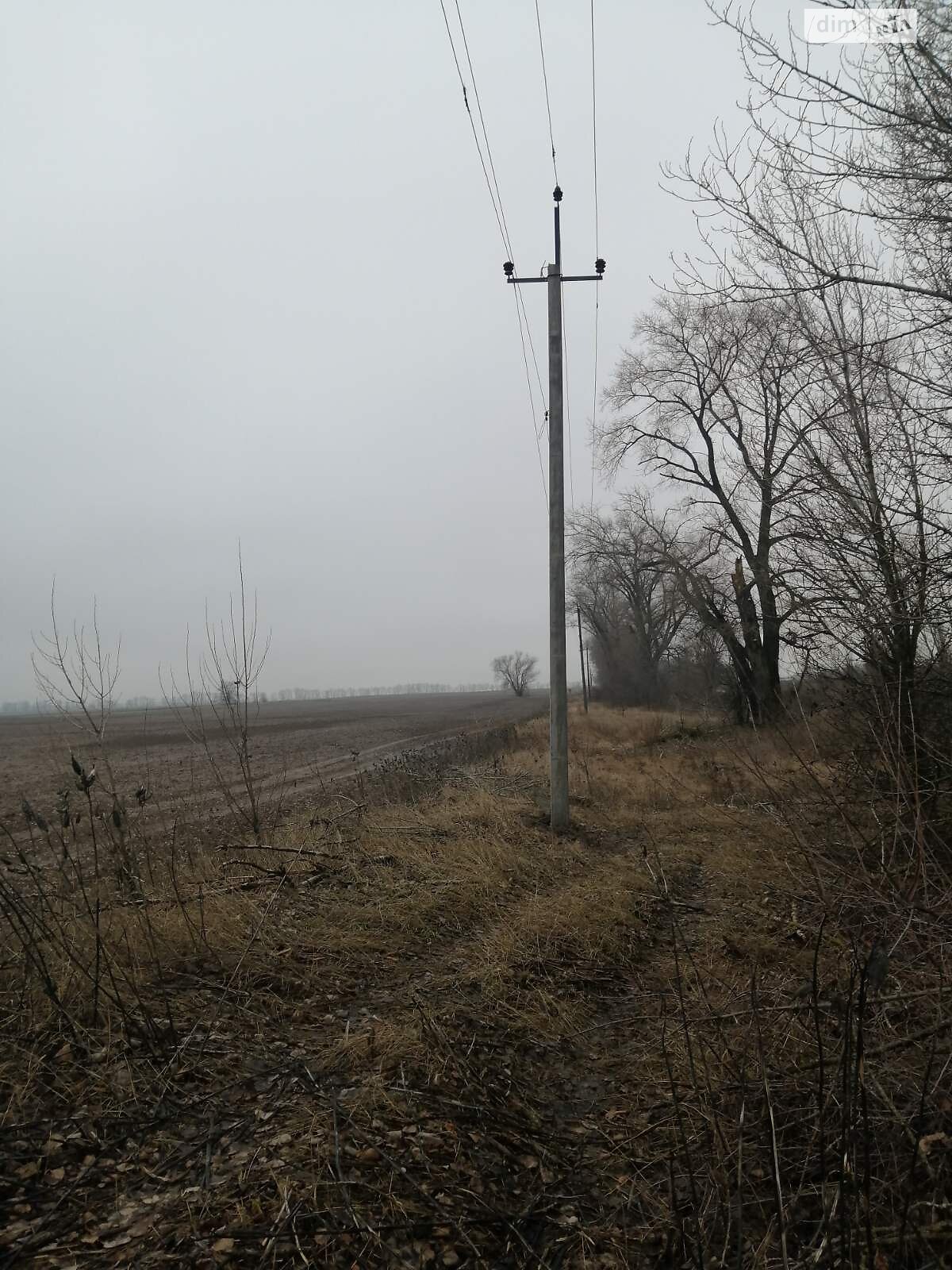 Земля сельскохозяйственного назначения в Борисполе, район Борисполь, площадь 230 соток фото 1