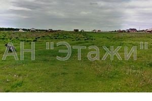 Земельный участок сельскохозяйственного назначения в Малой Александровке, площадь 335 соток фото 2