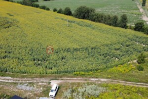 Земельна ділянка сільськогосподарського призначення в Борисполі, площа 200 соток фото 2