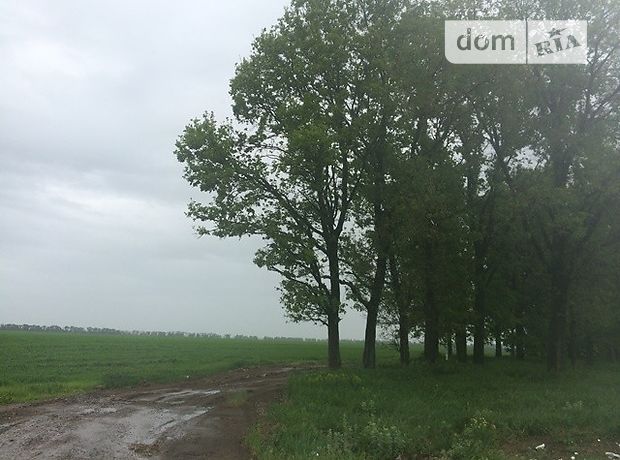 Продажа земли сельскохозяйственного назначения, Киевская, Борисполь, c. Великая Александровка Продажа земли сельскохозяйственного назначения, Киевская, Борисполь, c. Великая Александровка