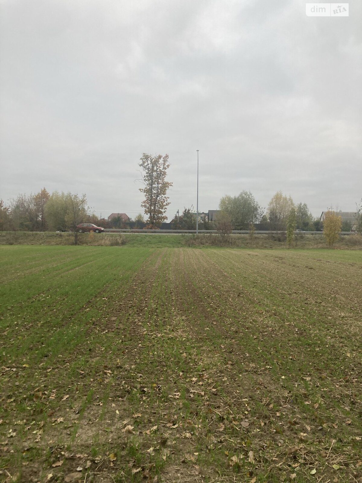 Земля сільськогосподарського призначення в Бородянці, район Бородянка, площа 20 соток фото 1 Земля сільськогосподарського призначення в Бородянці, район Бородянка, площа 20 соток фото 1