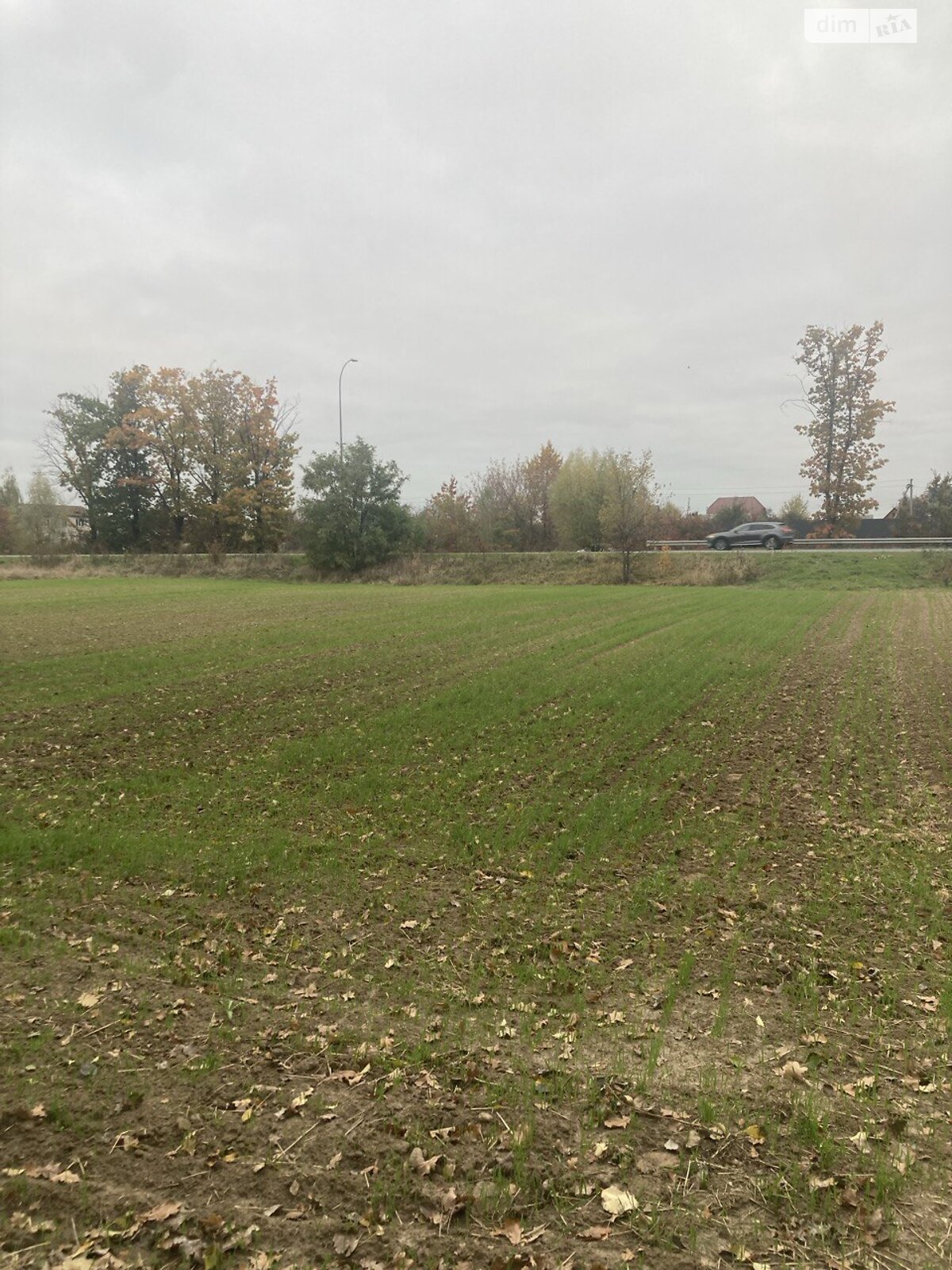 Земля сільськогосподарського призначення в Бородянці, район Бородянка, площа 20 соток фото 1 Земля сільськогосподарського призначення в Бородянці, район Бородянка, площа 20 соток фото 1