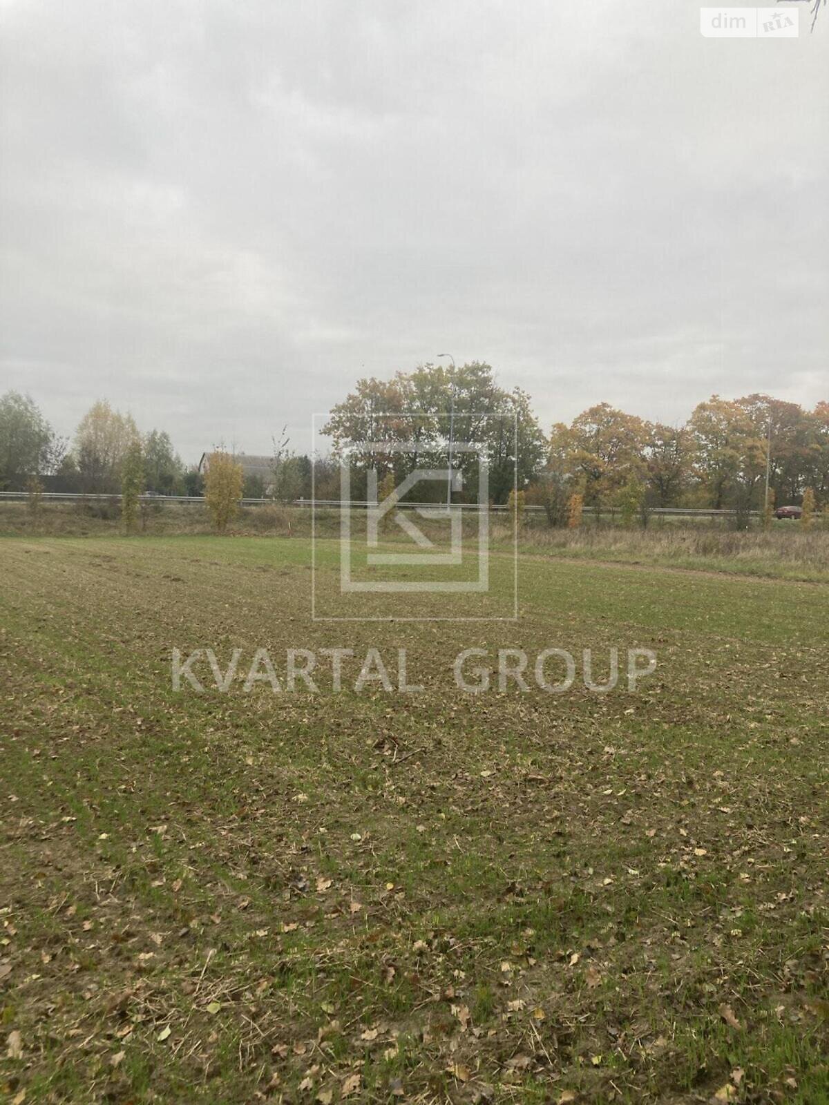 Земля сельскохозяйственного назначения в Бородянке, район Бородянка, площадь 20 соток фото 1 Земля сельскохозяйственного назначения в Бородянке, район Бородянка, площадь 20 соток фото 1