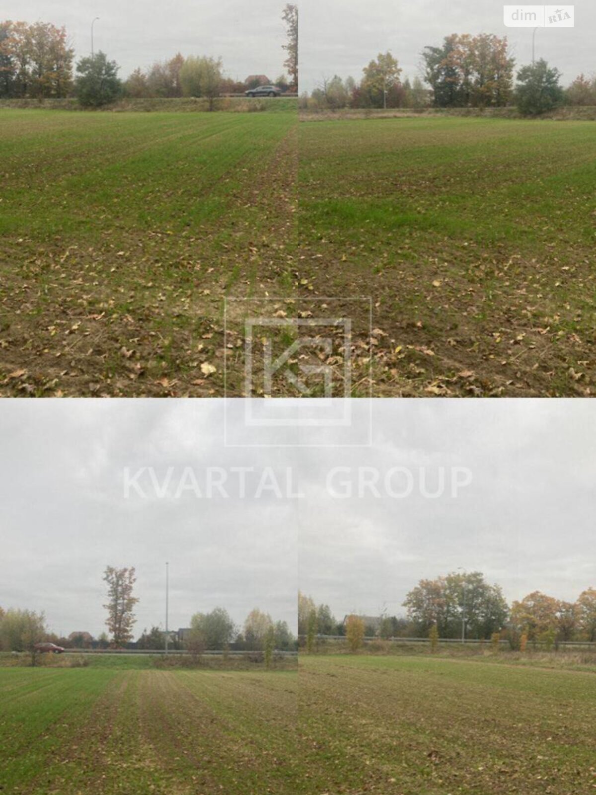 Земля сельскохозяйственного назначения в Бородянке, район Бородянка, площадь 20 соток фото 1 Земля сельскохозяйственного назначения в Бородянке, район Бородянка, площадь 20 соток фото 1