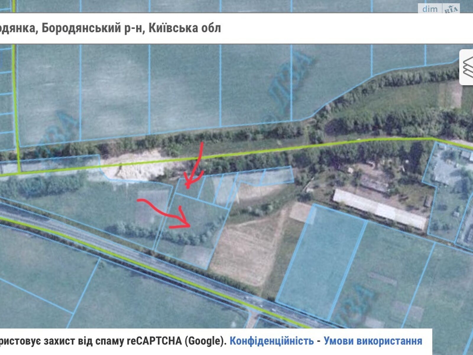 Земельный участок сельскохозяйственного назначения в Бородянке, площадь 102 сотки фото 1