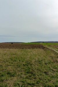 Земельна ділянка сільськогосподарського призначення в Браїлові, площа 15 соток фото 2