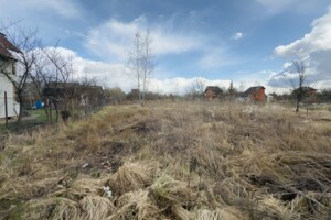 Земельна ділянка сільськогосподарського призначення в Братківці, площа 5.64 сотки фото 2