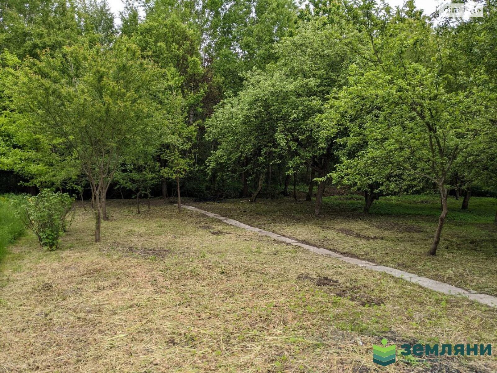 Земельна ділянка сільськогосподарського призначення в Братківці, площа 4.71 сотки фото 1 Земельна ділянка сільськогосподарського призначення в Братківці, площа 4.71 сотки фото 1