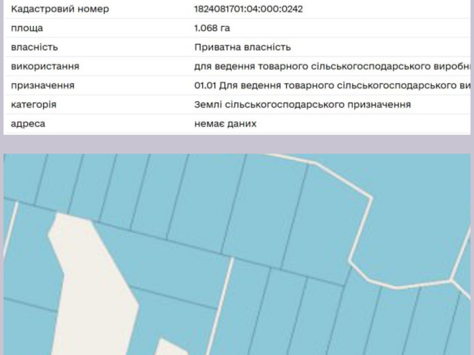 Земельна ділянка сільськогосподарського призначення в Брониках, площа 1.07 Га фото 1 Земельна ділянка сільськогосподарського призначення в Брониках, площа 1.07 Га фото 1