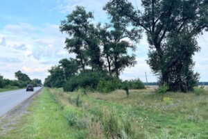 Земельна ділянка сільськогосподарського призначення в Броварах, площа 190 соток фото 2