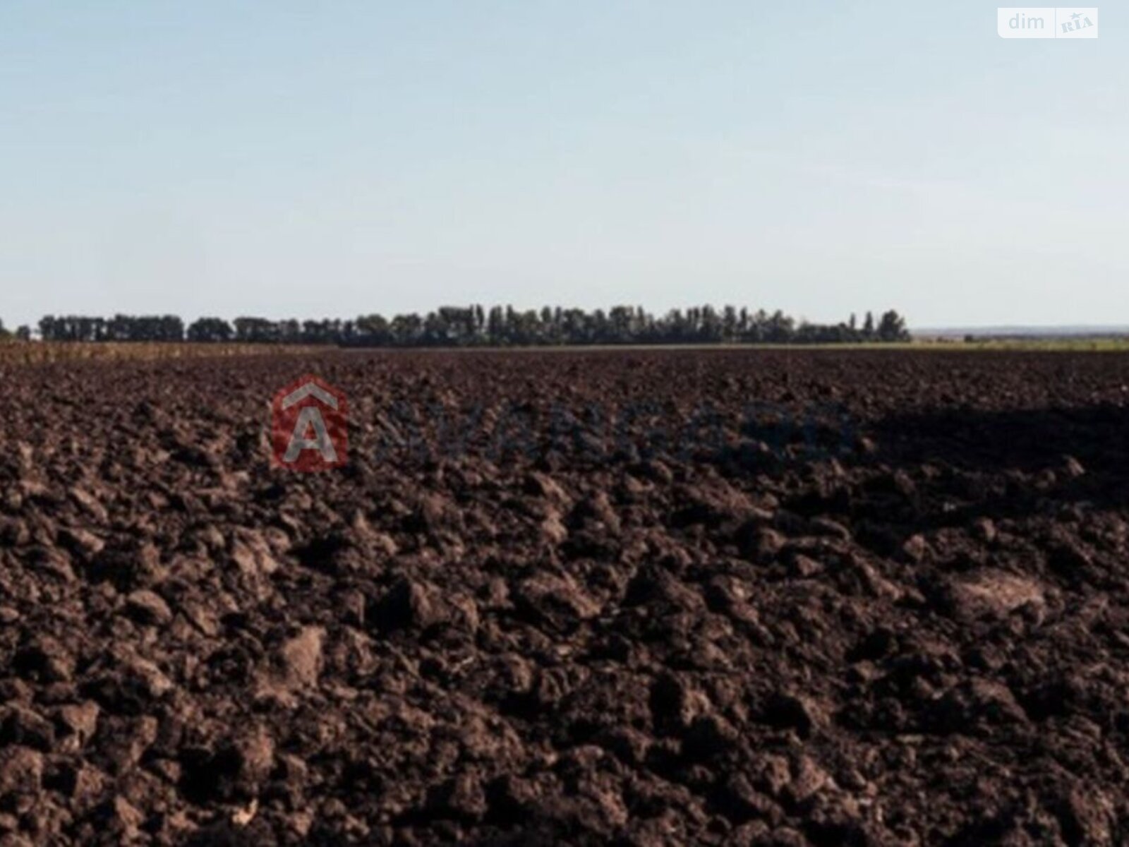 Земля сільськогосподарського призначення в Броварах, район Бровари, площа 319 соток фото 1 Земля сільськогосподарського призначення в Броварах, район Бровари, площа 319 соток фото 1