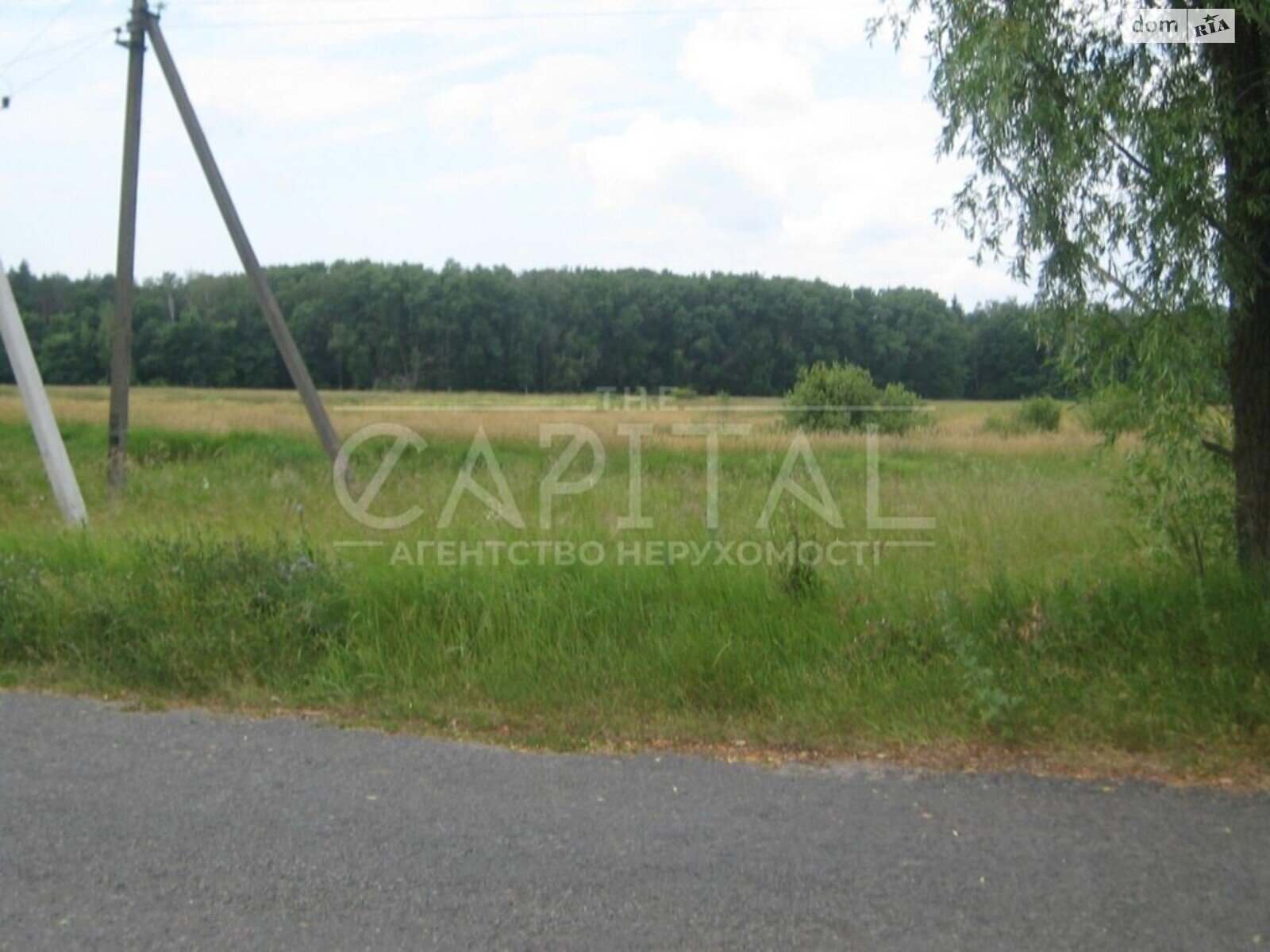 Земельный участок сельскохозяйственного назначения в Захаровке, площадь 11.6 сотки фото 1