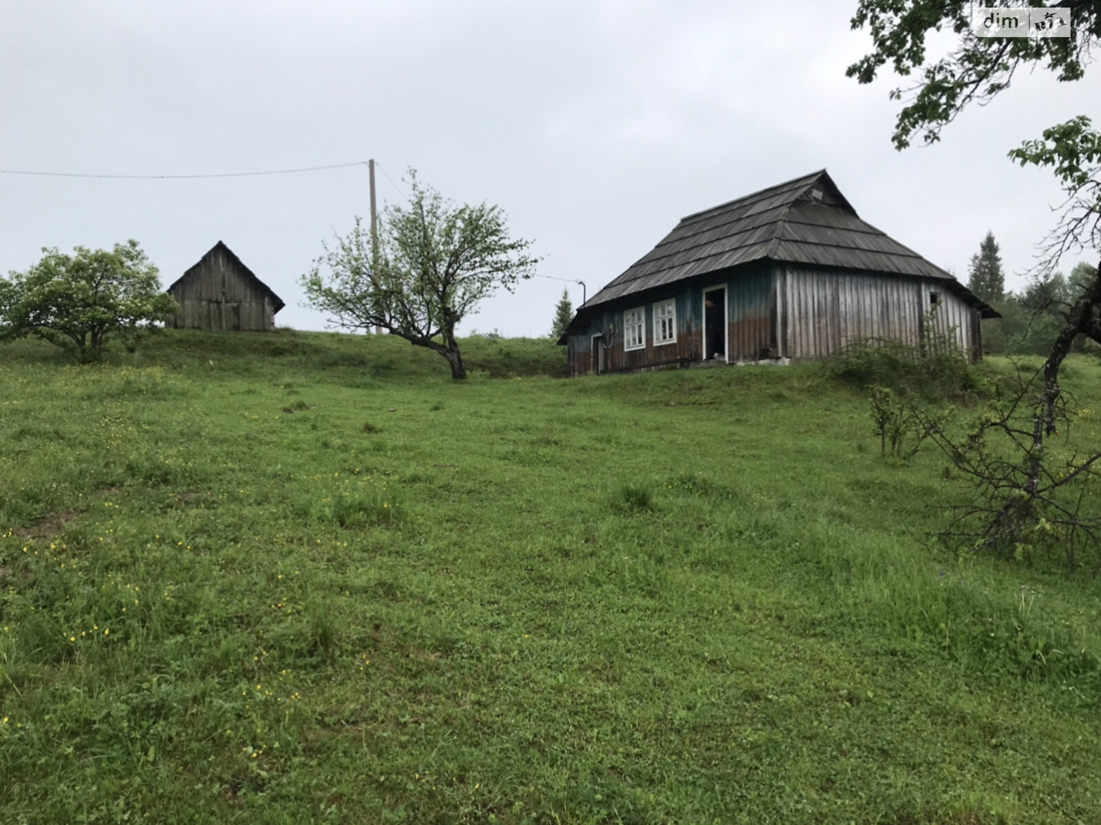 Земельный участок сельскохозяйственного назначения в Брустурове, площадь 0.8557 Га фото 1