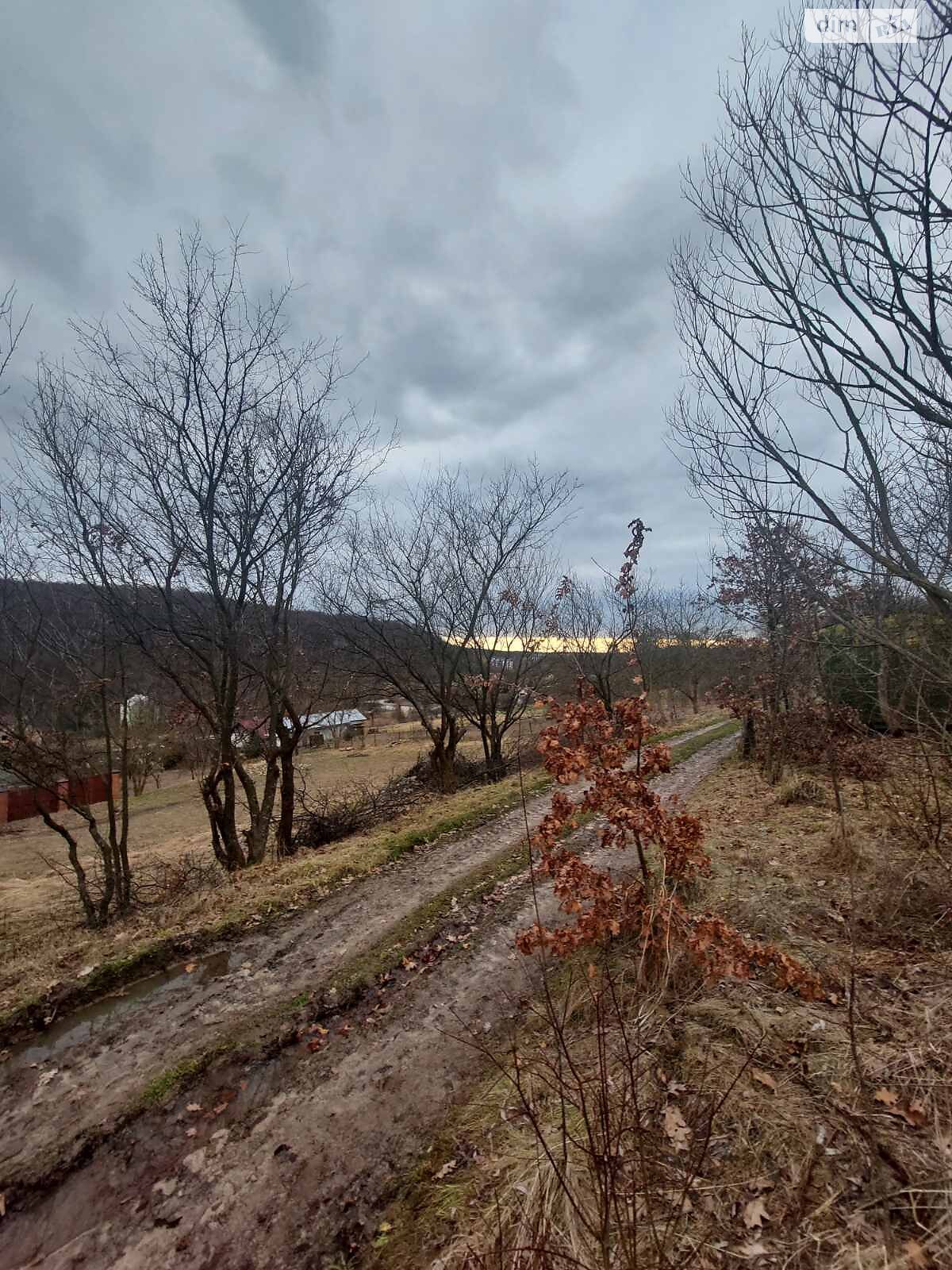 Земельна ділянка сільськогосподарського призначення в Брюховичах, площа 6.4 сотки фото 1