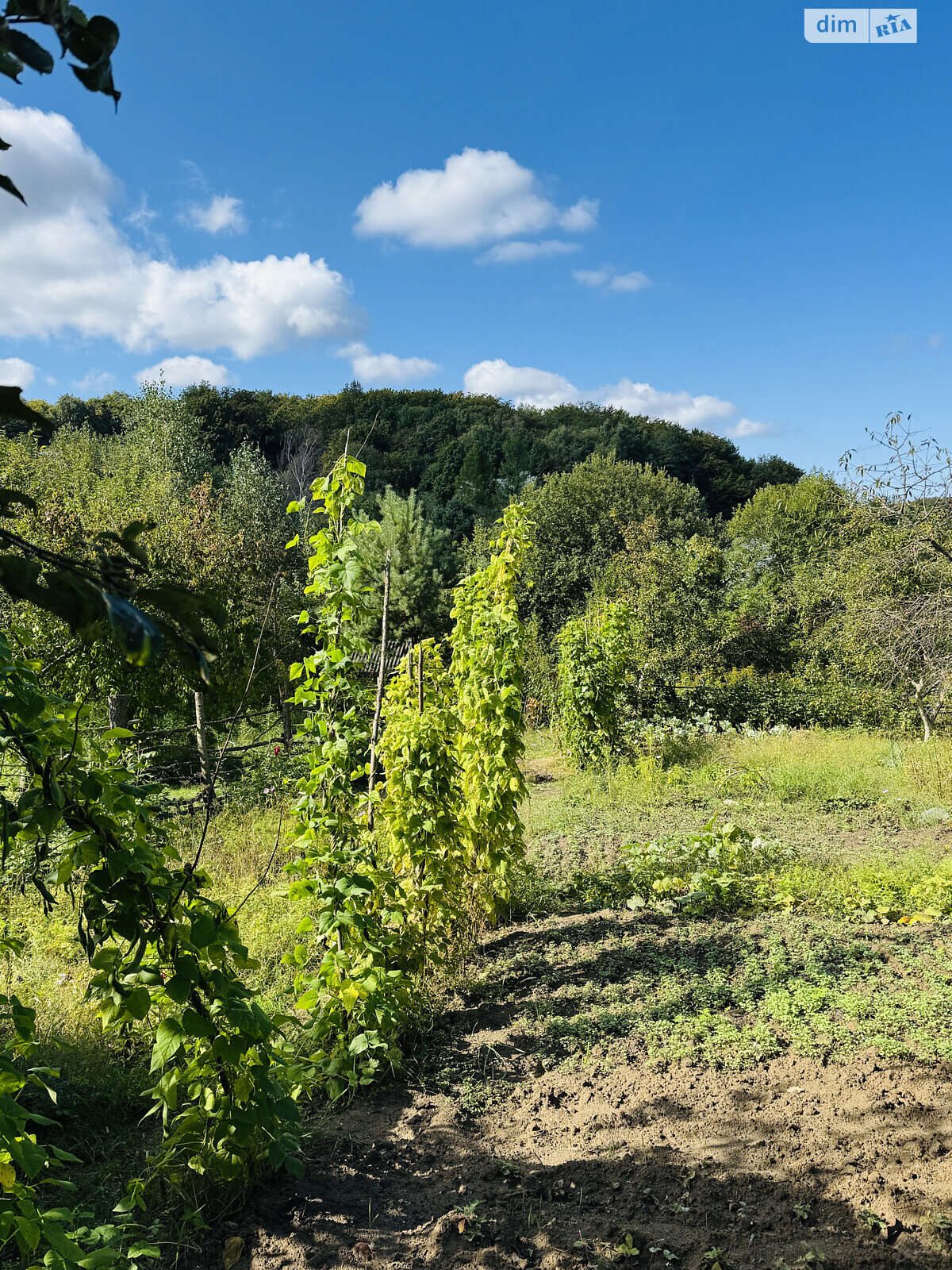 Земельный участок сельскохозяйственного назначения в Брюховичах, площадь 0.0592 Га фото 1