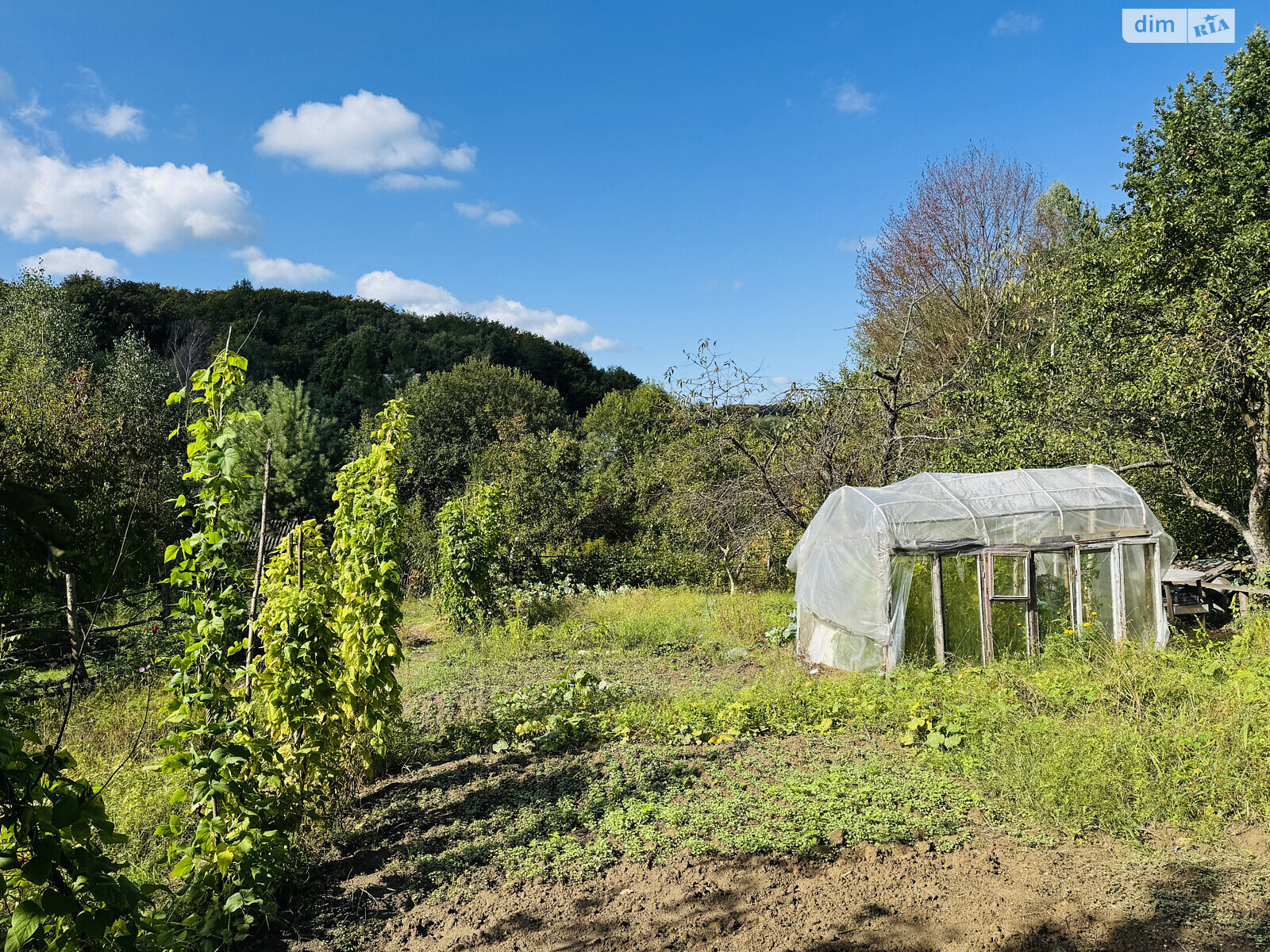 Земельный участок сельскохозяйственного назначения в Брюховичах, площадь 0.0592 Га фото 1