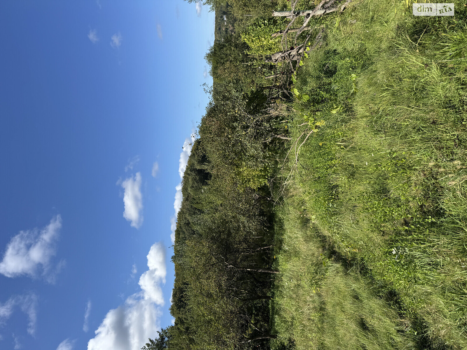 Земельный участок сельскохозяйственного назначения в Брюховичах, площадь 0.0592 Га фото 1