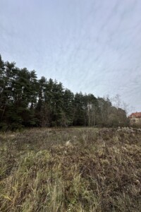 Земельна ділянка сільськогосподарського призначення в Брюховичах, площа 33 сотки фото 2