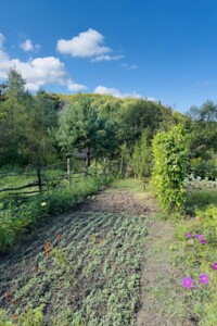 Земельна ділянка сільськогосподарського призначення в Брюховичах, площа 5.9 сотки фото 2