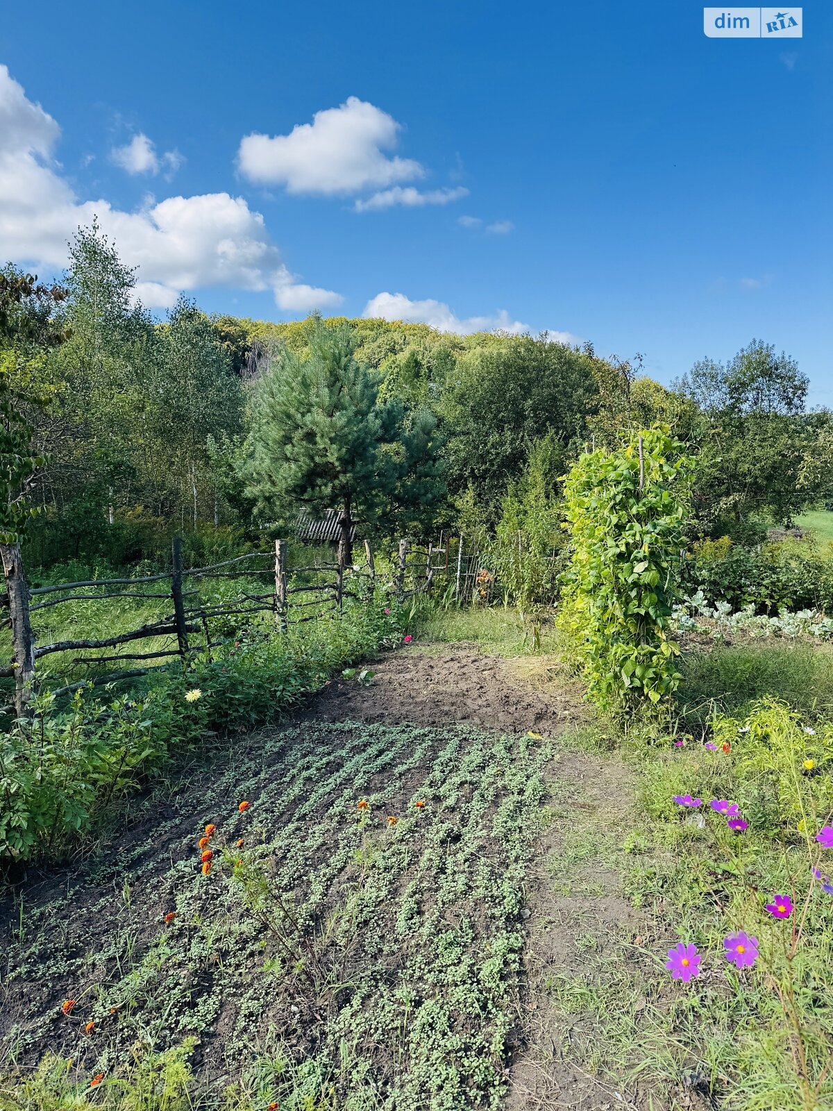 Земельна ділянка сільськогосподарського призначення в Брюховичах, площа 5.9 сотки фото 1
