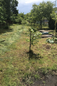 Земельный участок сельскохозяйственного назначения в Брюховичах, площадь 5 соток фото 2 Земельный участок сельскохозяйственного назначения в Брюховичах, площадь 5 соток фото 2