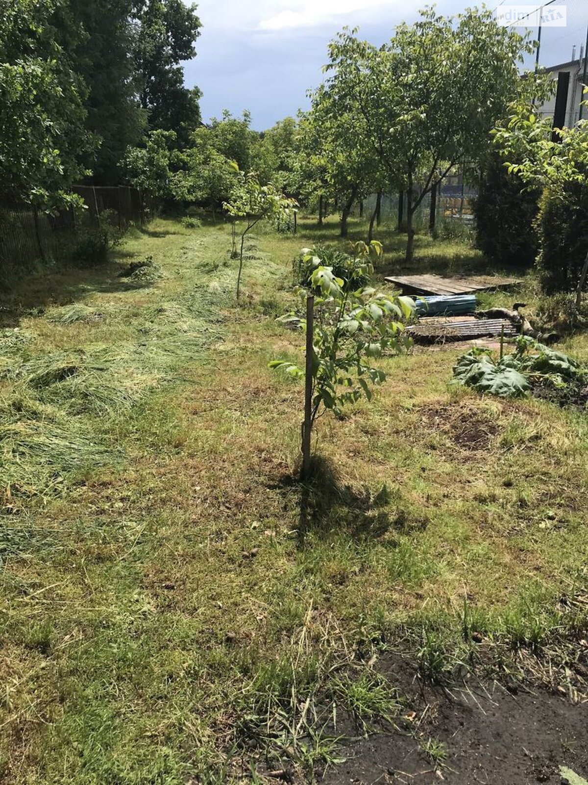Земельный участок сельскохозяйственного назначения в Брюховичах, площадь 5 соток фото 1 Земельный участок сельскохозяйственного назначения в Брюховичах, площадь 5 соток фото 1
