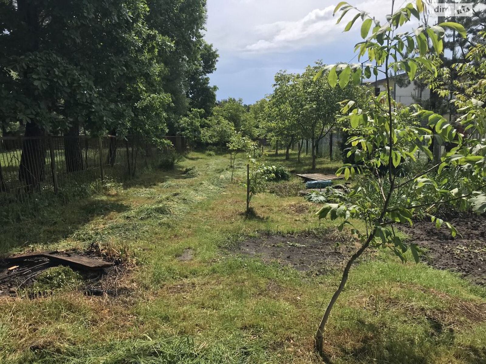 Земельный участок сельскохозяйственного назначения в Брюховичах, площадь 5 соток фото 1 Земельный участок сельскохозяйственного назначения в Брюховичах, площадь 5 соток фото 1