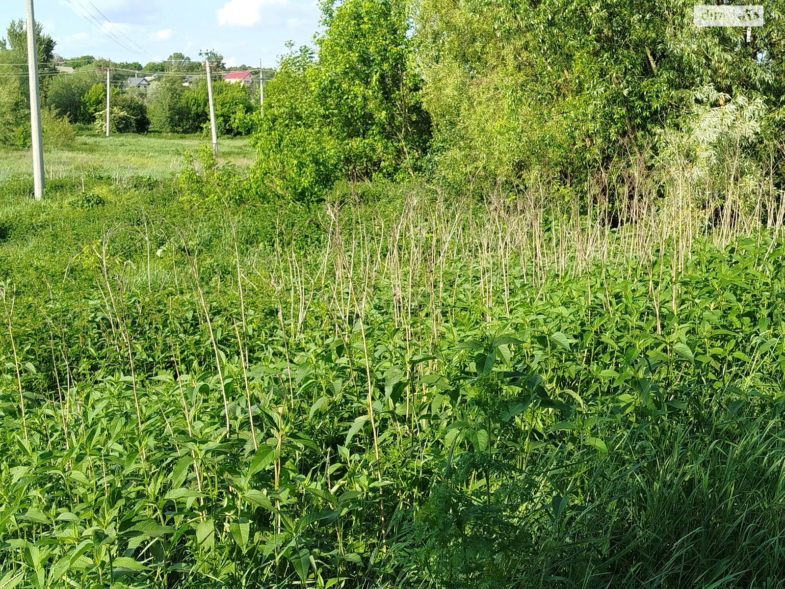 Земля сельскохозяйственного назначения в Буче, район Буча, площадь 5.73 сотки фото 1 Земля сельскохозяйственного назначения в Буче, район Буча, площадь 5.73 сотки фото 1