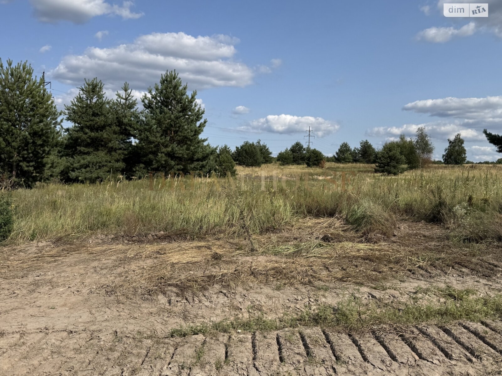 Земля сельскохозяйственного назначения в Буче, район Буча, площадь 2.43 сотки фото 1 Земля сельскохозяйственного назначения в Буче, район Буча, площадь 2.43 сотки фото 1