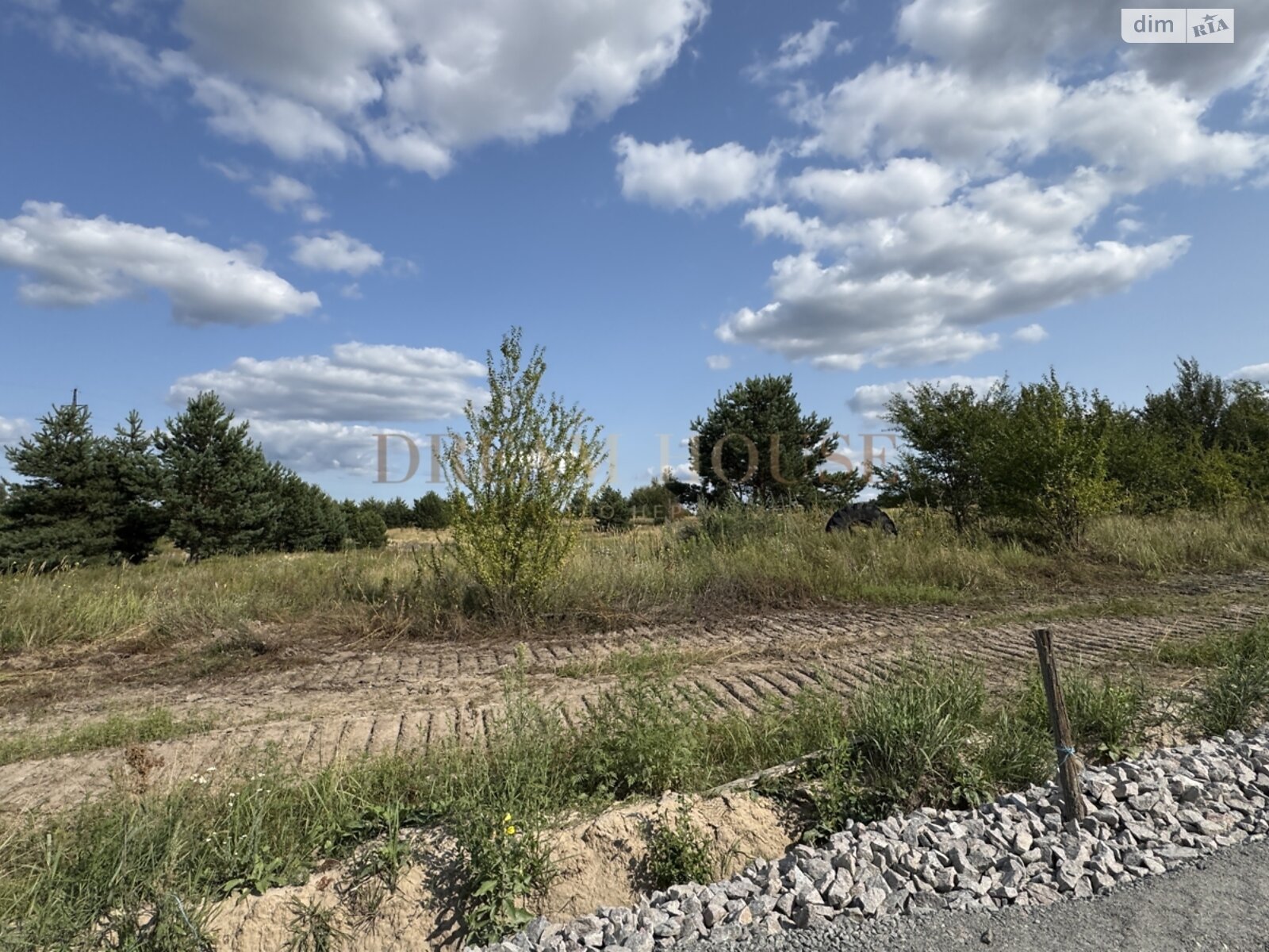 Земля сельскохозяйственного назначения в Буче, район Буча, площадь 2.43 сотки фото 1 Земля сельскохозяйственного назначения в Буче, район Буча, площадь 2.43 сотки фото 1