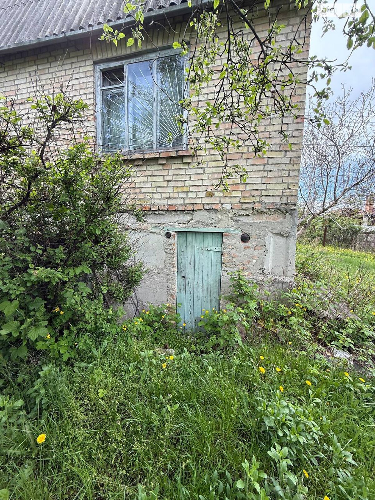 Земельный участок сельскохозяйственного назначения в Буче, площадь 7.5 сотки фото 1 Земельный участок сельскохозяйственного назначения в Буче, площадь 7.5 сотки фото 1