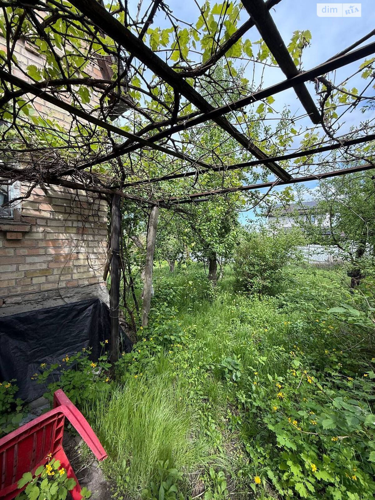 Земельный участок сельскохозяйственного назначения в Буче, площадь 7.5 сотки фото 1 Земельный участок сельскохозяйственного назначения в Буче, площадь 7.5 сотки фото 1